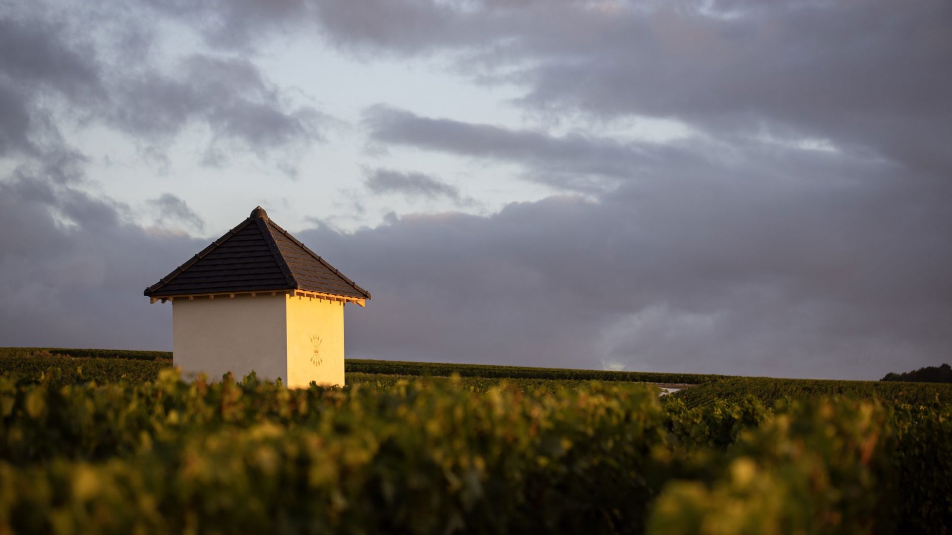 barons de rothschild