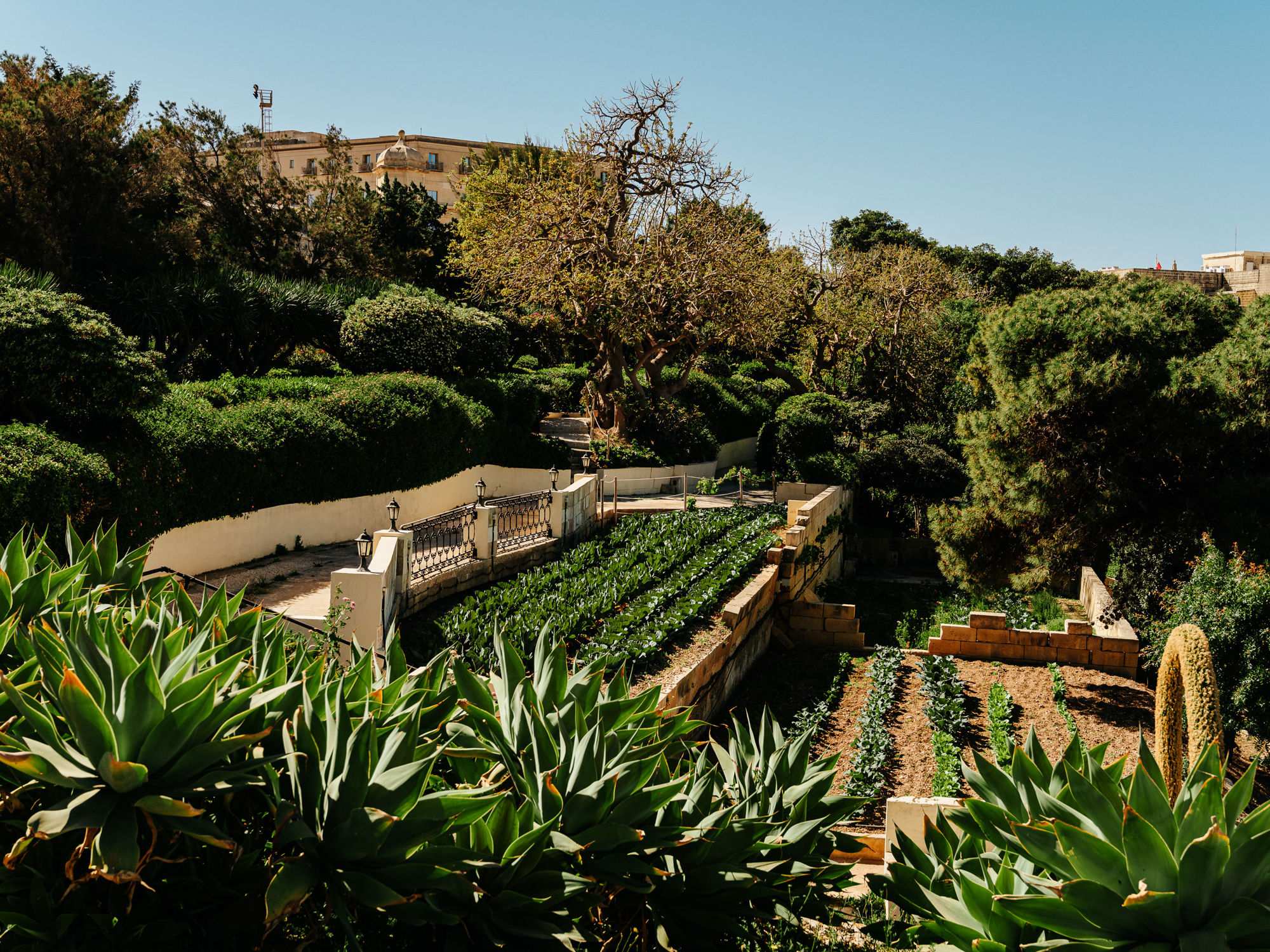 The Phoenicia Malta's Kitchen Garden