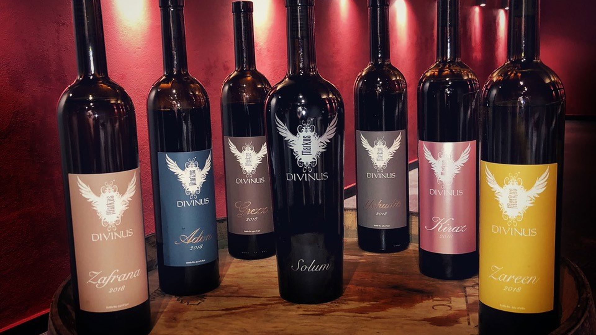 local wine tasting - markus divinus