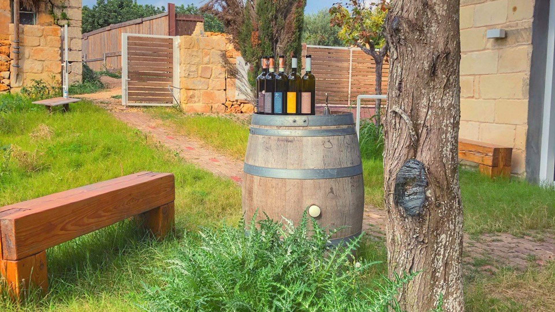 local wine tasting - markus divinus