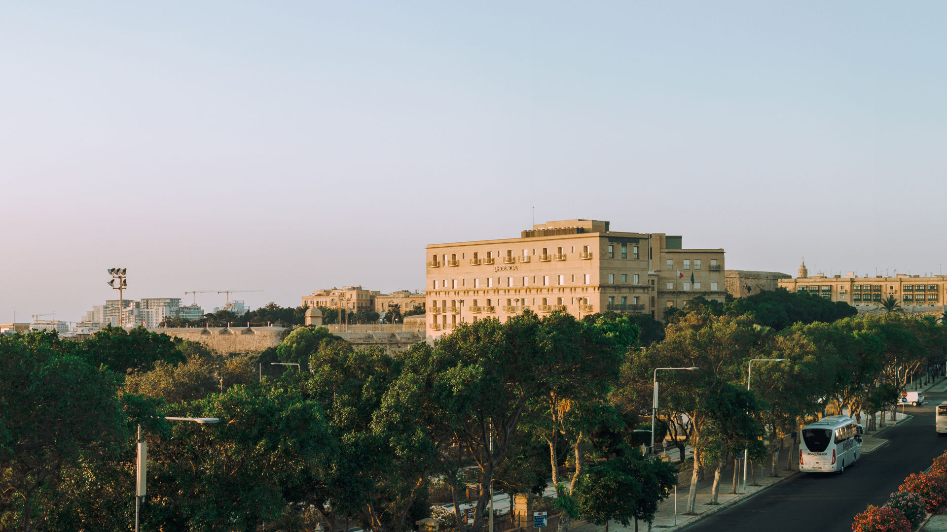 phoenicia malta