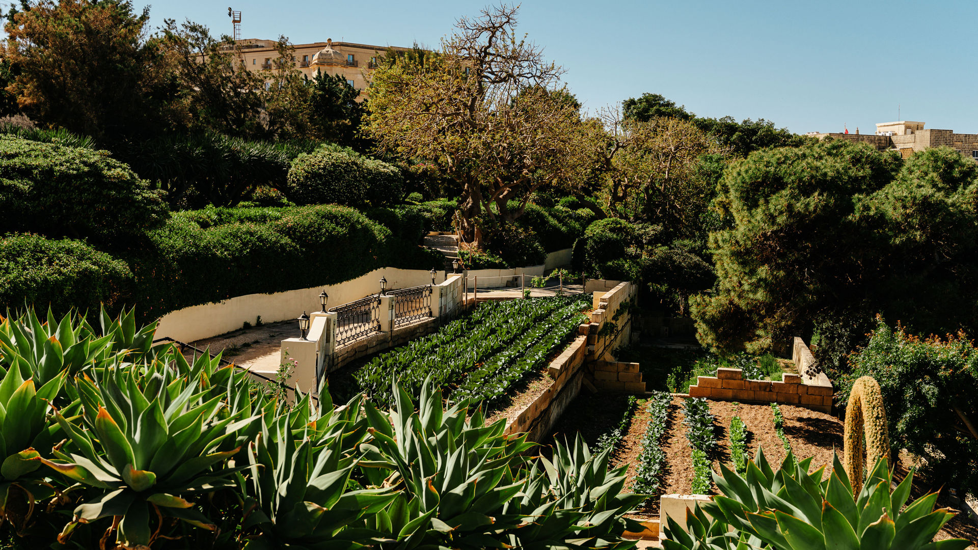 The Phoenicia Malta's Kitchen Garden